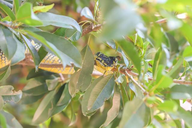 1965年属蛇的运势 1965年属蛇今日财运方位