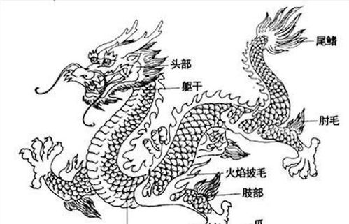 2024年生肖运势大全:龙年十二属相运程详解 (2024年生肖表图片)