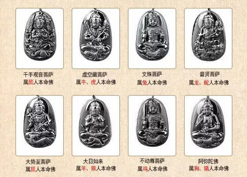 属猴人本命是佛是菩萨