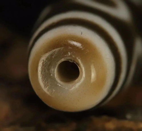 2025年环境日活动方案 2025年环境日活动方案