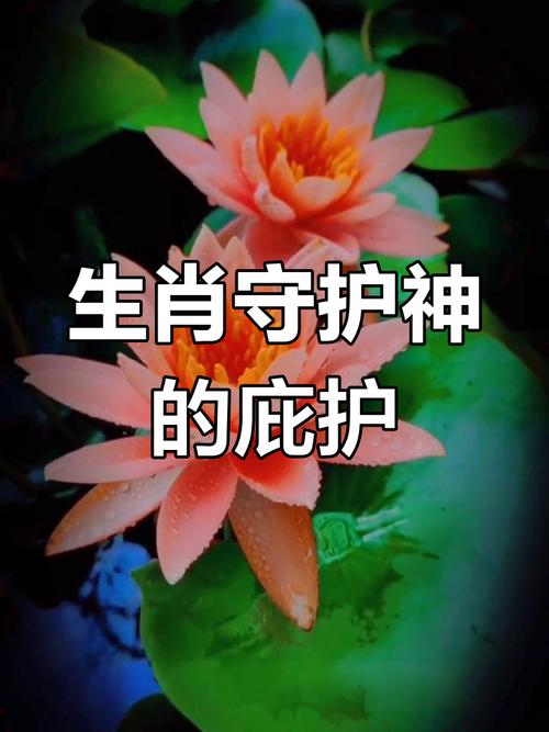 如何找到属于自己的观世音本命佛