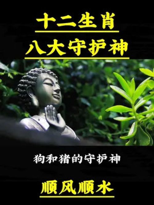 属虎人的本命佛是什么（属虎的人的本命佛是谁