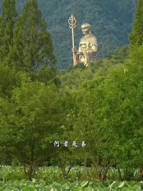 貔貅和本命佛哪个厉害(本命佛最好不戴) 貔貅和本命佛哪个厉害(本命佛最好不戴)