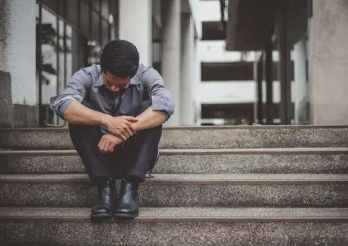 属猪的名人有哪些 属猪的名人有哪些