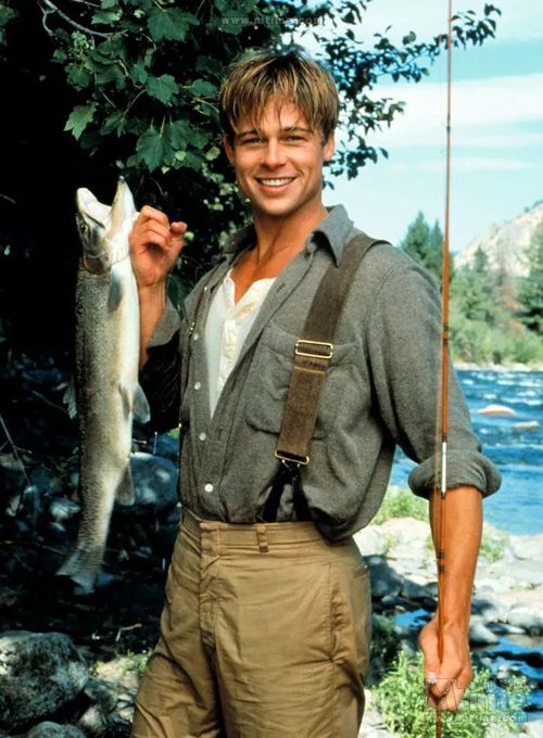 田间种树风水禁忌图片欣赏(庭院风水种树有哪些禁忌)