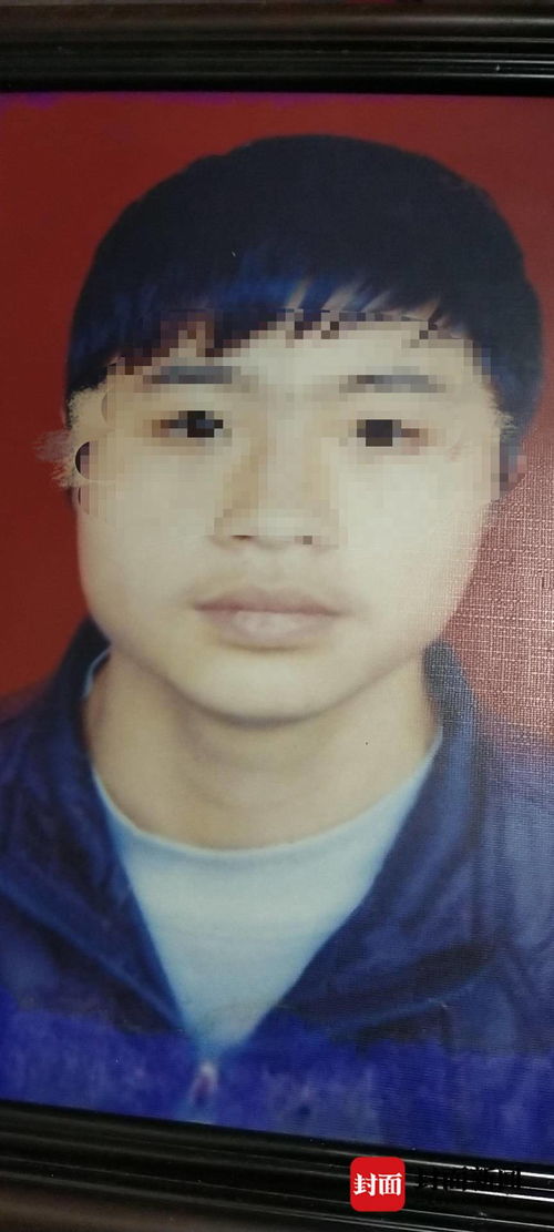 妖精的尾巴动漫在哪看