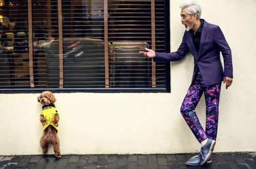 青春荷尔蒙青春荷尔蒙5