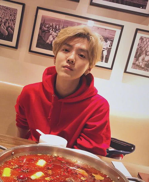 属猪财运详解及运势详解 属猪女59年今日财运方向是什么意思? 属猪财运详解及运势详解 属猪女59年今日财运方向是什么意思?