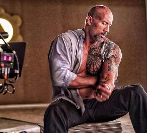 濠江风云国语_濠江风云国语版免费观看