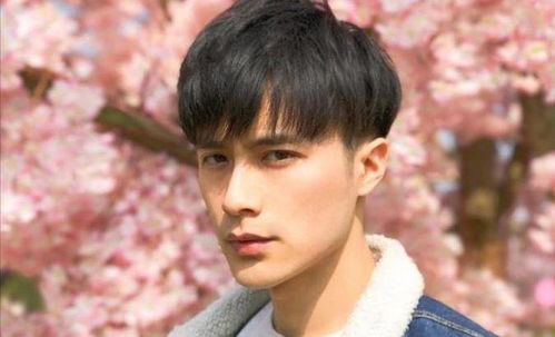 张予曦陈柏融个人资料张予曦的男朋友