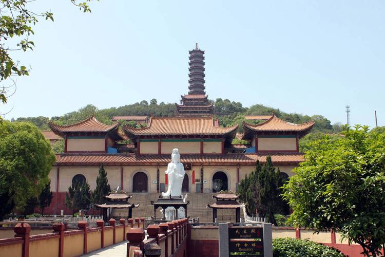 3月份出生的属马人命运