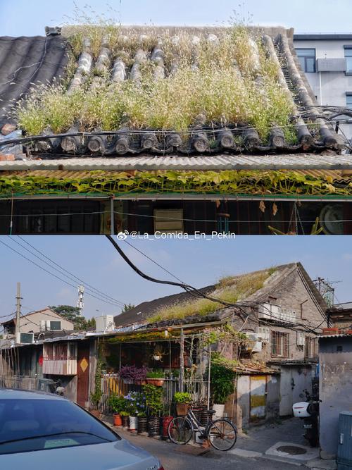 塔罗牌免费测试占卜准吗 塔罗牌到底为何那么