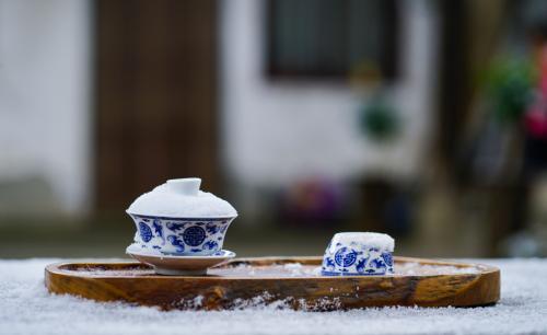 丁酉年属狗女与不同男属相婚配是否存在潜在问题需关注哪些方面