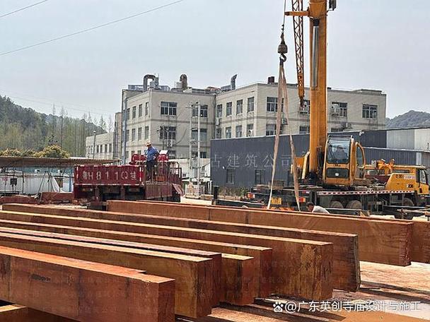 画纸上的活老虎