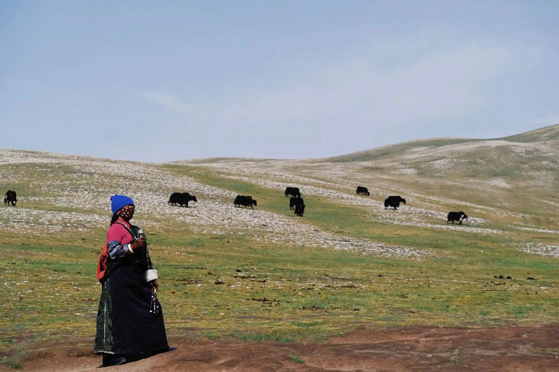 算命说八字命里会生双胞胎(测算一生有几个子女,命中有几个子女)