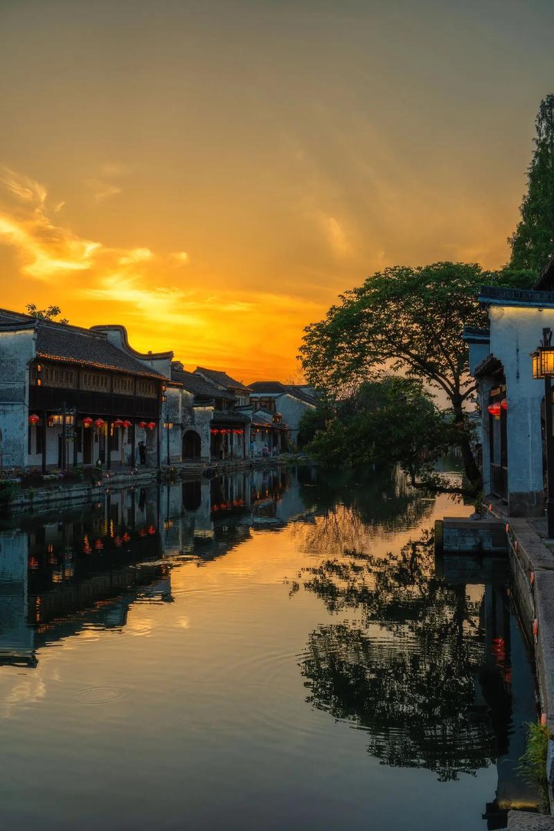 属兔一生的运势如何 75年属兔的一生财运