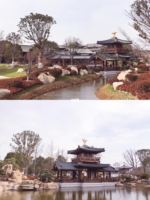 我们的日子电视剧演员表