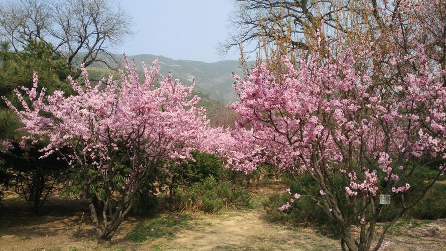 观音抽签42_亲子沟通是否有转机(观音抽签42是否预示亲子沟通障碍的喜事即将到来)