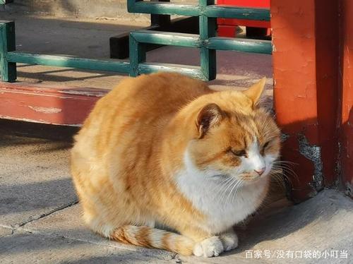 虚空藏菩萨本命佛佩戴注意事项(本命佛虚空藏怎样佩戴)