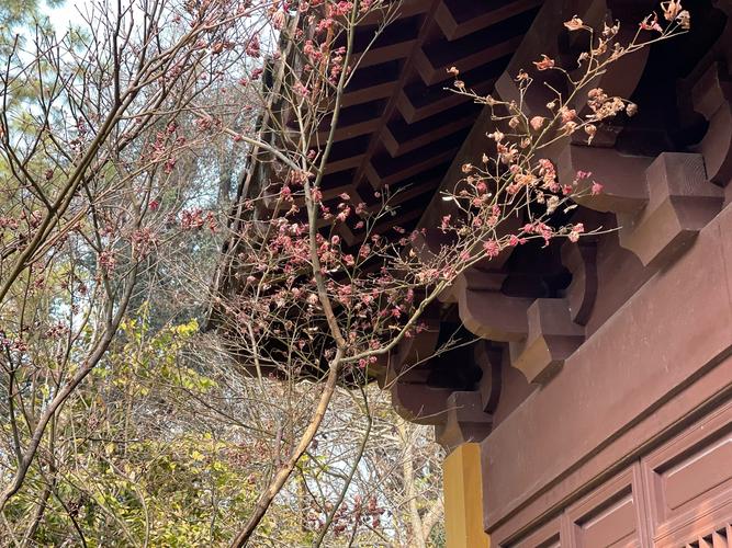 宅院风水图解(老家建房风水禁忌图解大全)