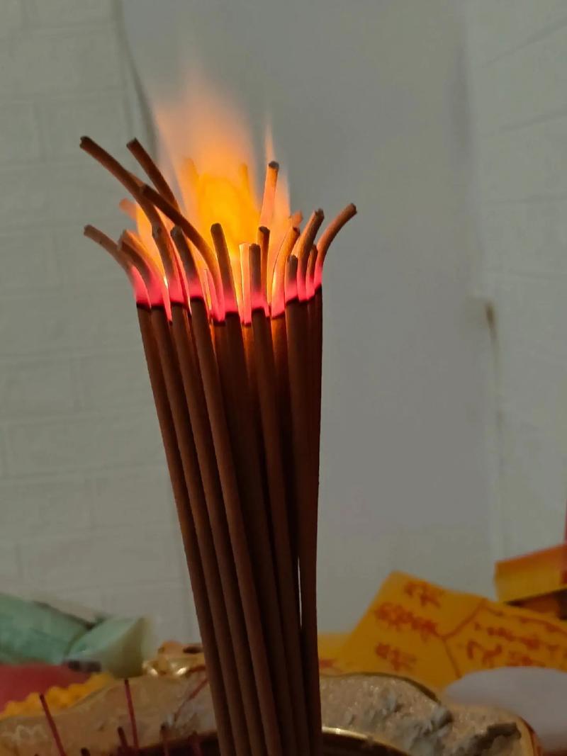 女星马雅舒个人资料 马雅舒个人资料介绍