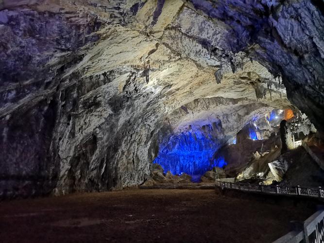 注定当大老板的手相女