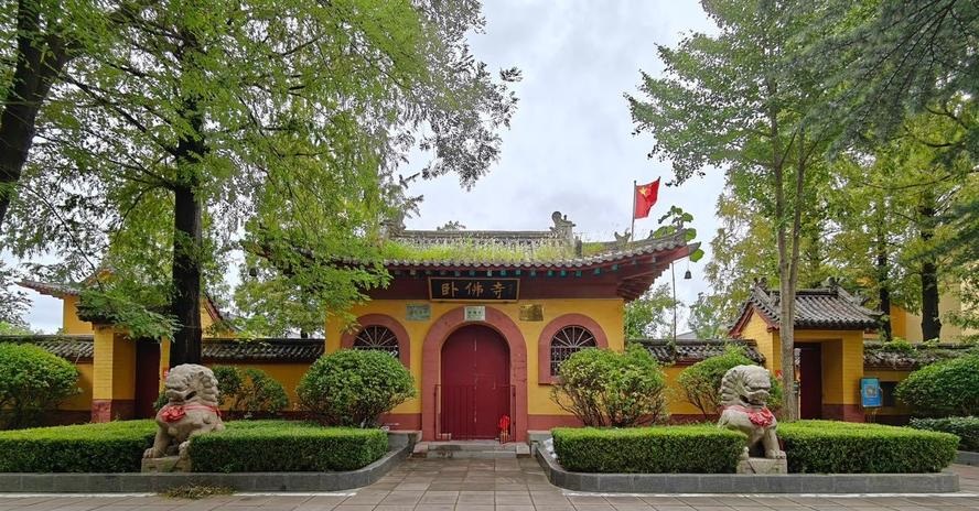 婚神星落在狮子座