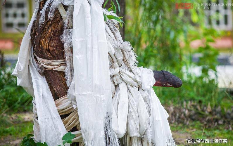 生日密码解析2025年1月10日出生的男宝宝日干运势分析一生命理运 生日密码解析2025年1月10日出生的男宝宝日干运势分析一生命理运