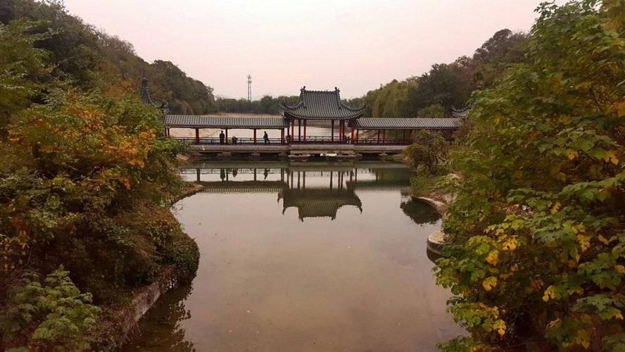 奇瑞墨甲交付第1000只机器狗 奇瑞墨甲交付第1000只机器狗