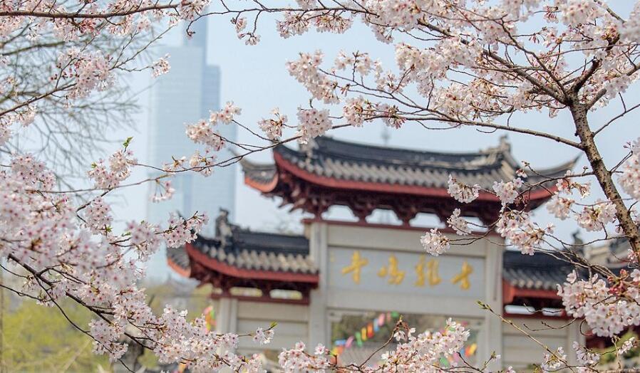 十二生肖的流年运程 十二生肖的流年事业运程 十二生肖的流年运程 十二生肖的流年事业运程