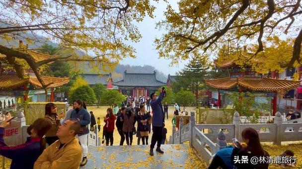 吴莫愁庾澄庆的演唱会因为中国好声音红 吴莫愁庾澄庆的演唱会因为中国好声音红