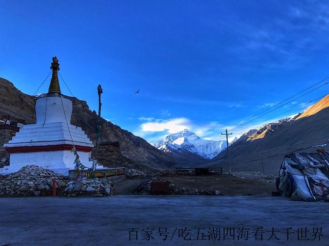 属鼠爱你的表现