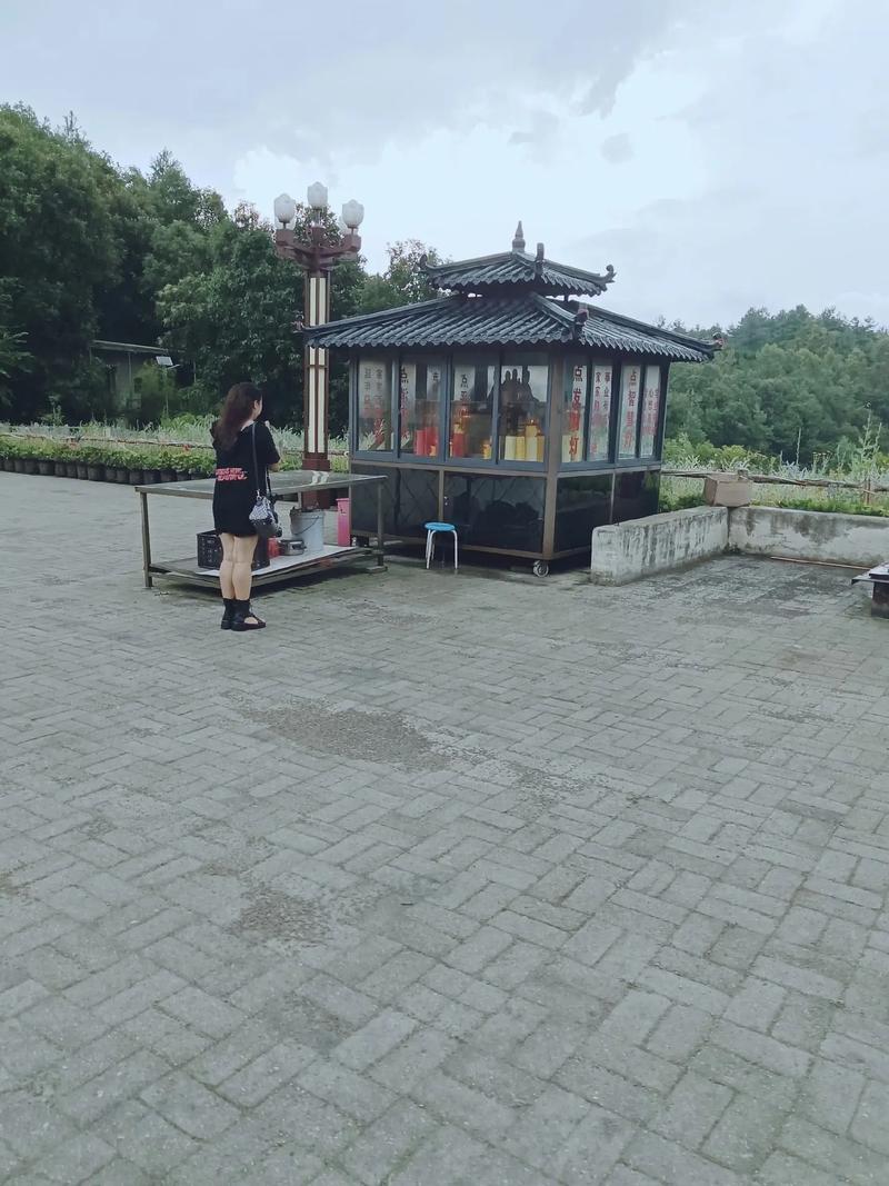 浅绿渐变绿起名