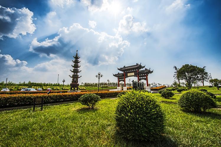 行星落入第十宫 行星落入第十宫