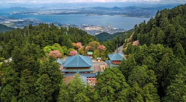 水龙年的年份有哪些？水龙的命运与运势