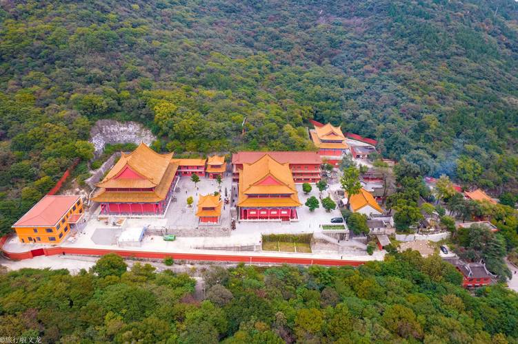 静电鱼  【狮子座新月许愿】执行原定计划即可