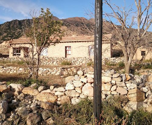 属鼠每月运势2025