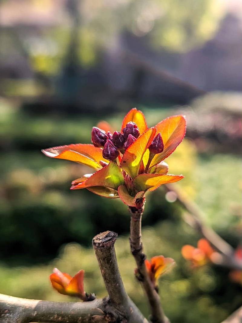 陶白白 十二星座10月15日运势
