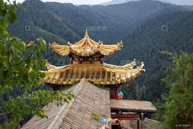 2025年12月19号出生女宝宝八字缺什么？生日密码如何？