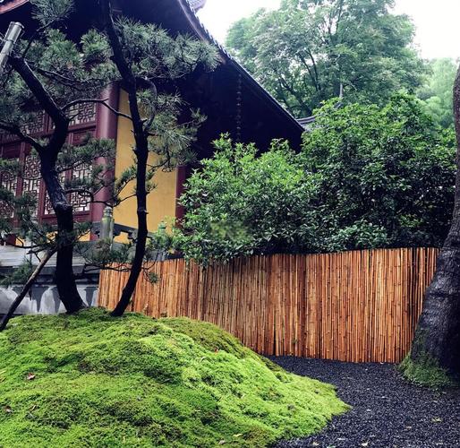 鼠人牛年运程每月运程 72年属鼠寿命多长