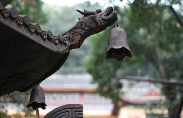 1992年出生的本命佛是什么(1992年出生的本命佛是什么菩萨)