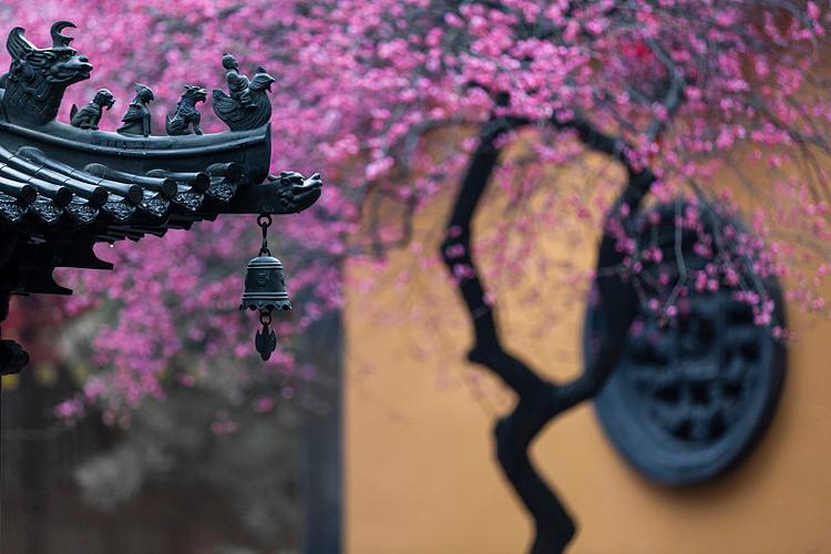 1977年2月18日八字星座 1977年2月18日八字星座