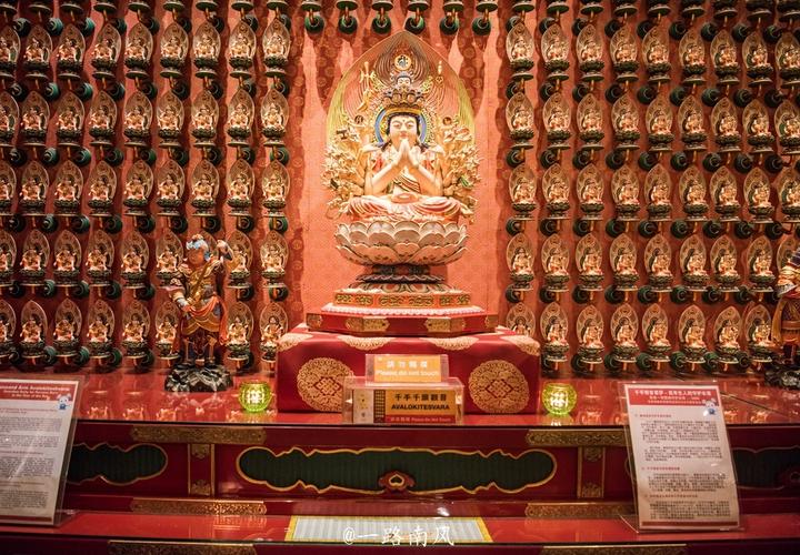 猪和什么属相最配 猪和什么属相最配