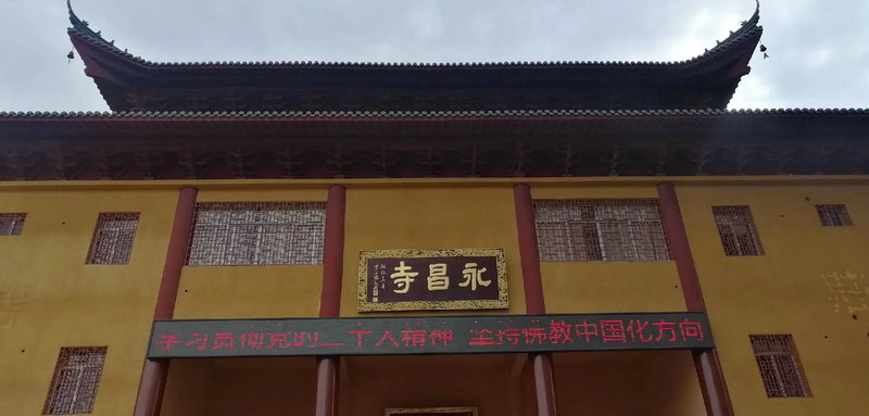 演猫女的黑人美国女明星