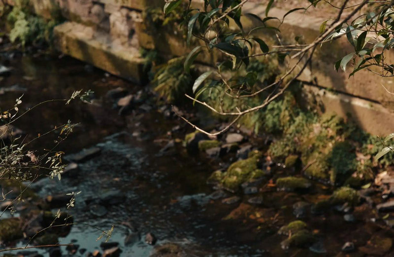 墓地风水策划公司