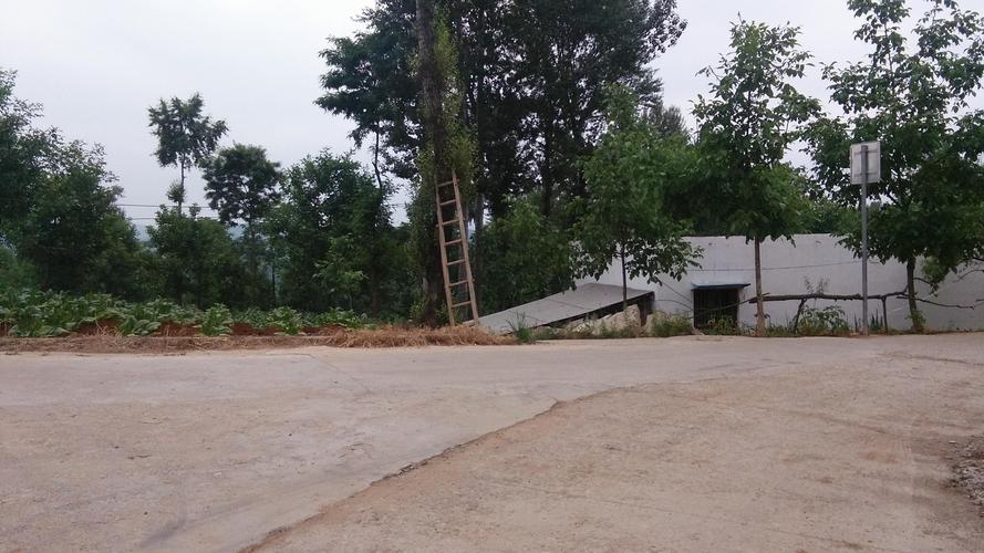 优秀人的生辰八字怎么写生辰八字怎么写呢