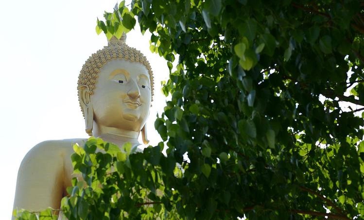 观音灵签第80迁居签_自信心会否受到影响(迁居签观音灵签第80自信心问题是否会影响迁居) 观音灵签第80迁居签_自信心会否受到影响(迁居签观音灵签第80自信心问题是否会影响迁居)