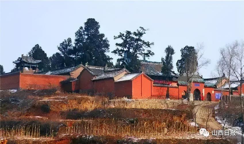 网上看的八字算命准吗(网上八字算命准吗 )