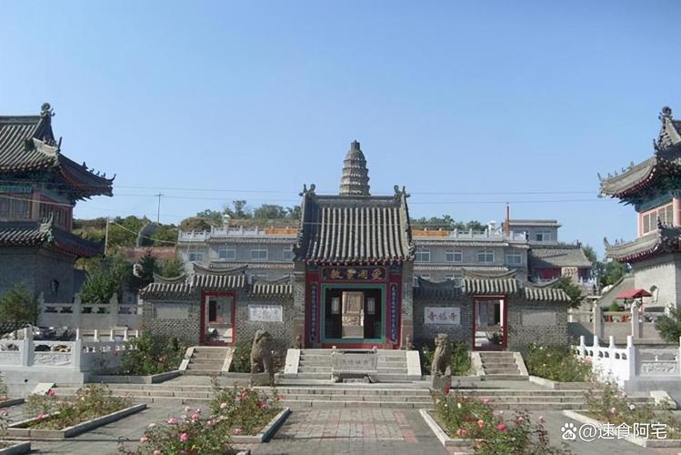 王志文主演的谍战电视剧