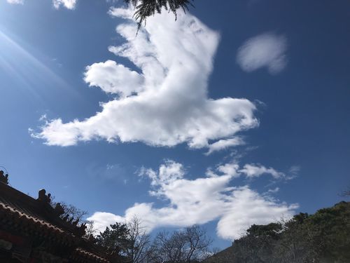 属龙的六月运势 2010属龙运程 属龙的六月运势 2010属龙运程